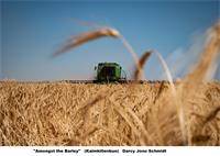 1st Under 18's working on the Farm